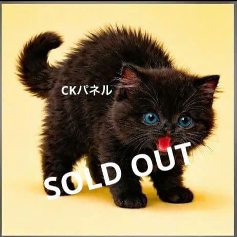 オーダー用猫ちゃんパネルサンプルページ 六