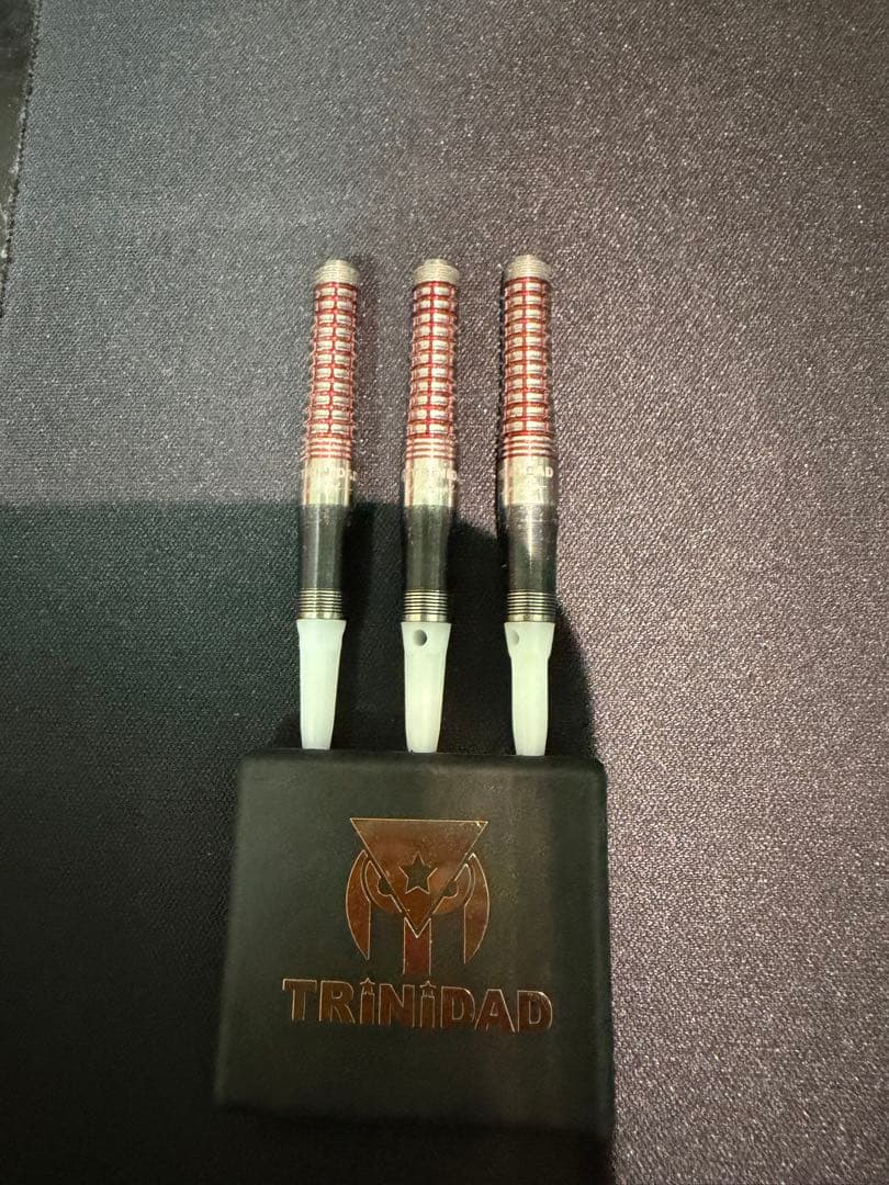 ダーツ TRINIDAD ROMERO Type2 21g