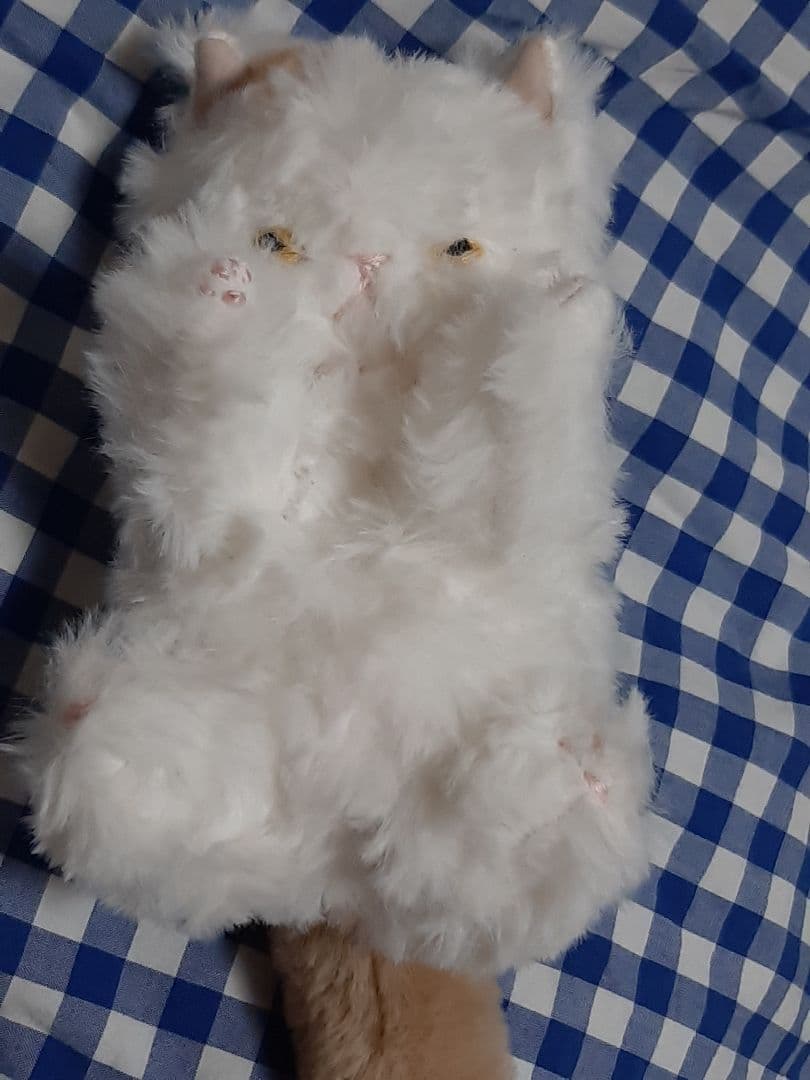 さてさん　ぬいぐるみ作家　さて猫ちゃん