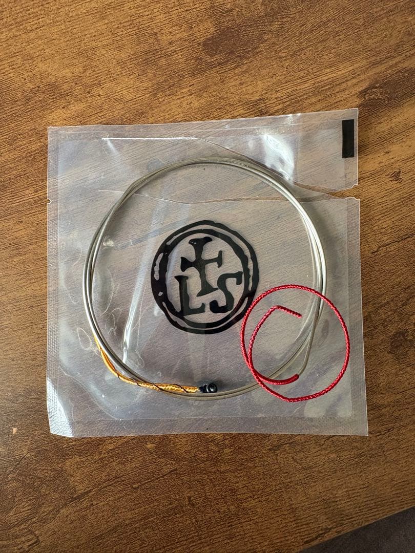 Larsen C,G線　ラーセン