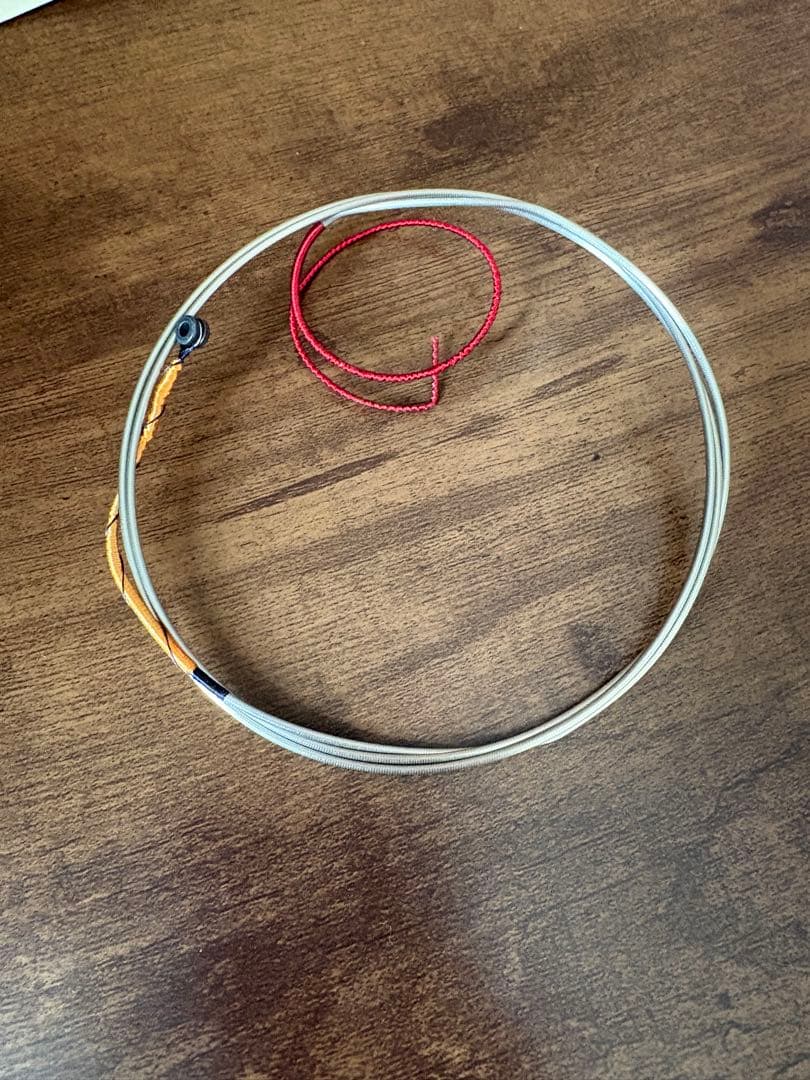 Larsen C,G線　ラーセン