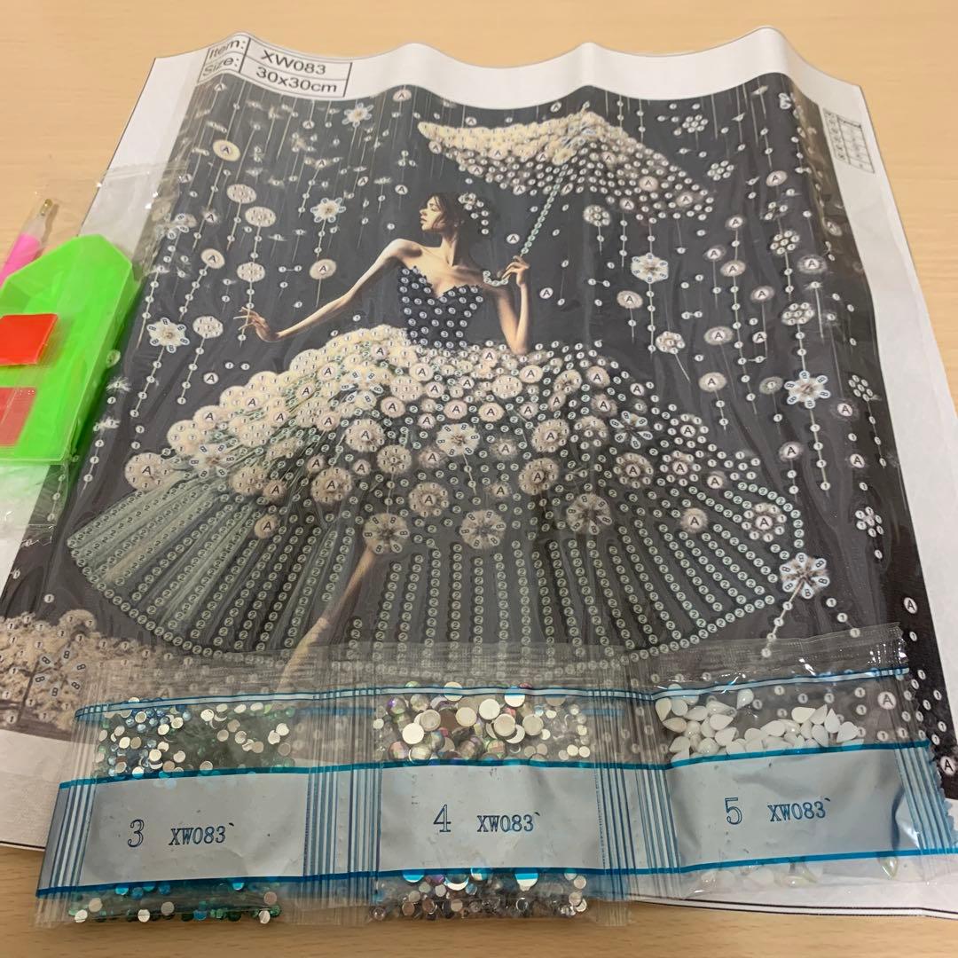 ★専用★ダイヤモンドアート　ダークパリ 特殊ビーズ