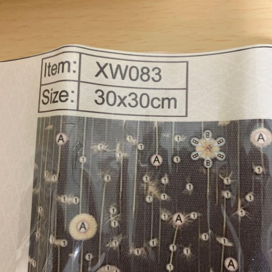 ★専用★ダイヤモンドアート　ダークパリ 特殊ビーズ