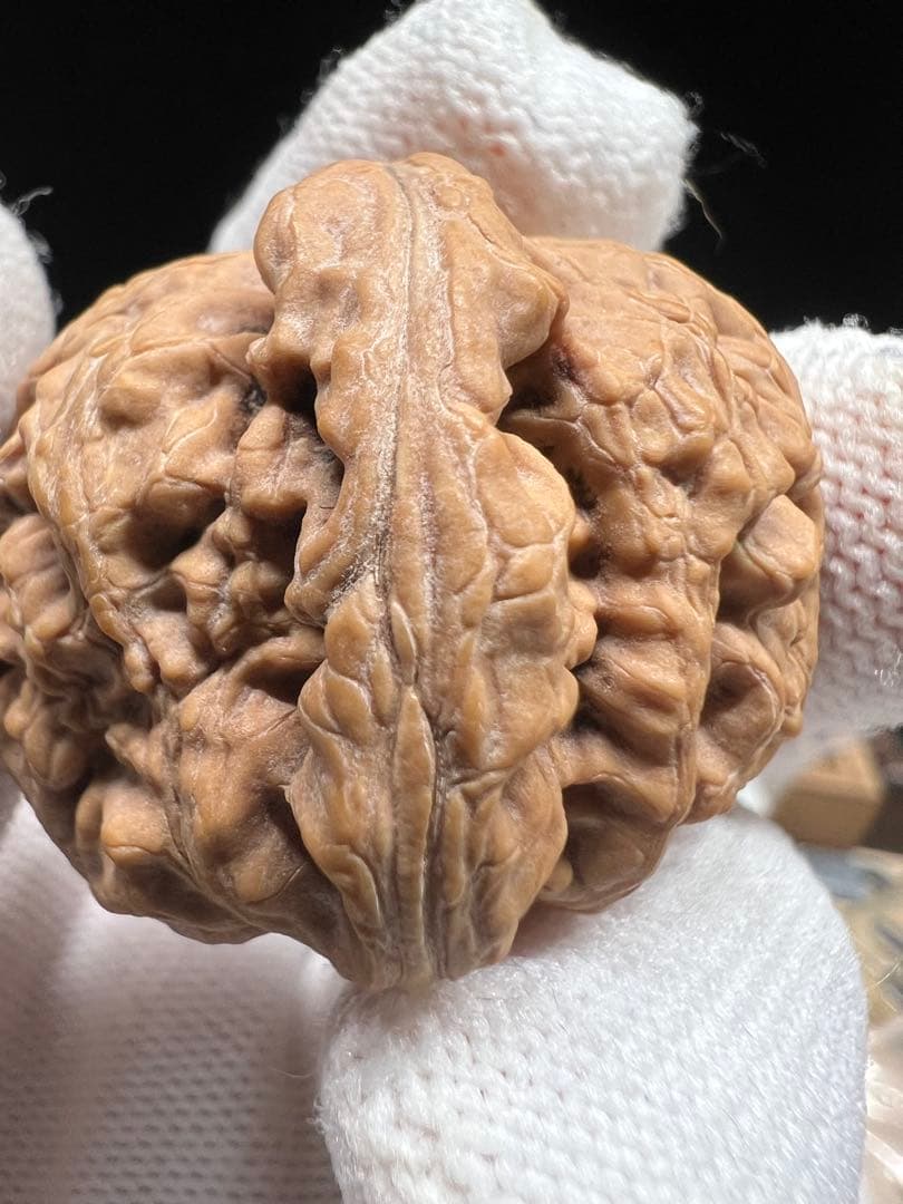 文玩堂：紅錦鯉獅子頭 高級文玩クルミ（マイナー上質品