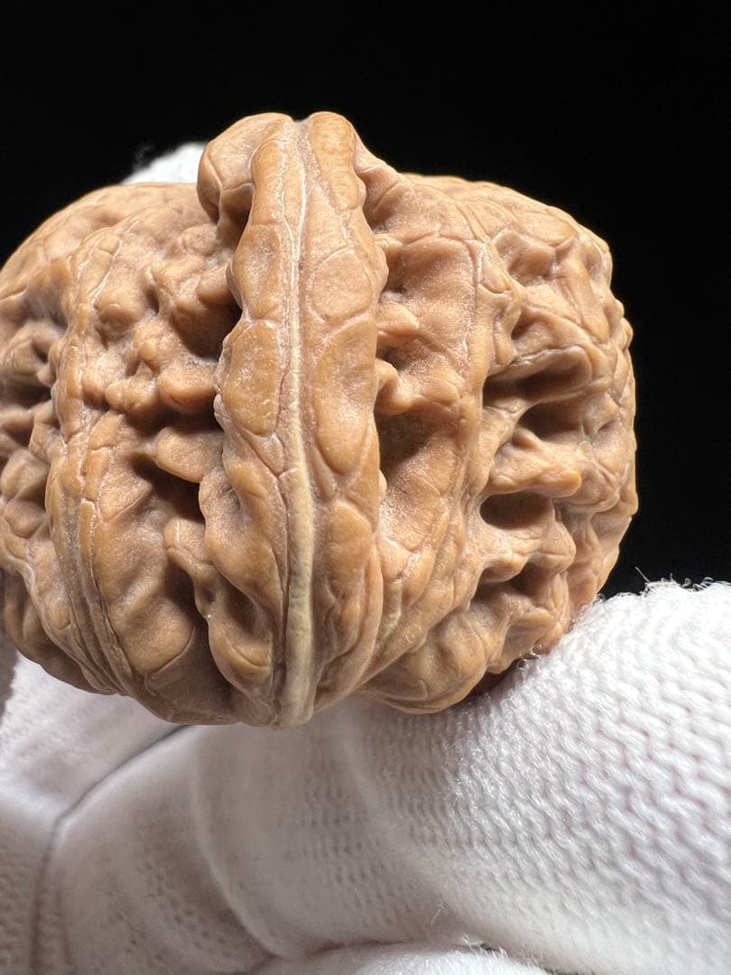 文玩堂：紅錦鯉獅子頭 高級文玩クルミ（マイナー上質品