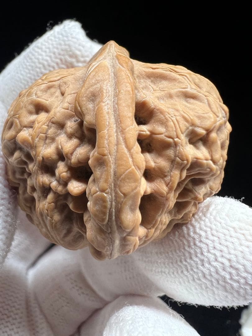 文玩堂：紅錦鯉獅子頭 高級文玩クルミ（マイナー上質品