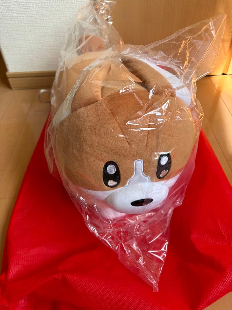 ヨルシカ コーギー yorushika