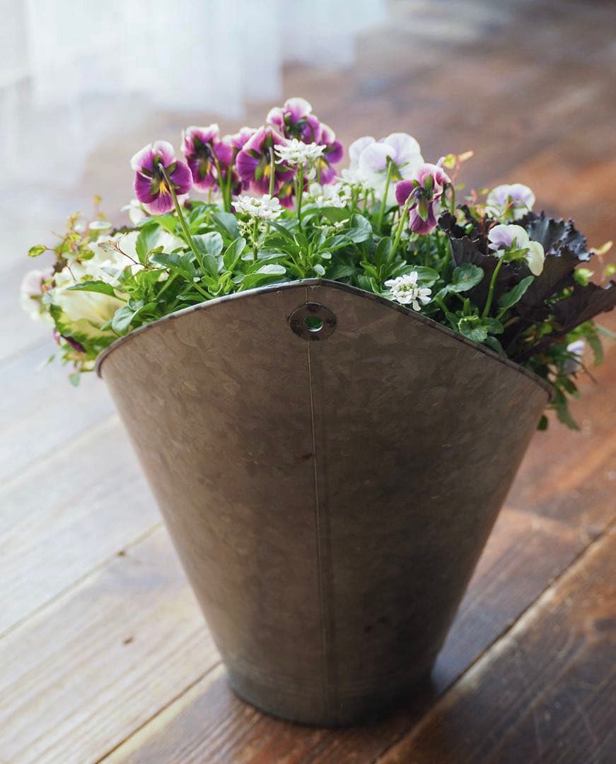 【お値引品】かっこかわいいハーフマウント風寄せ植え