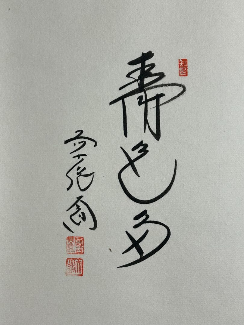 大徳寺 西垣大道 寿色多 根引松の絵 紙本 肉筆 茶掛 共箱 茶道具 45