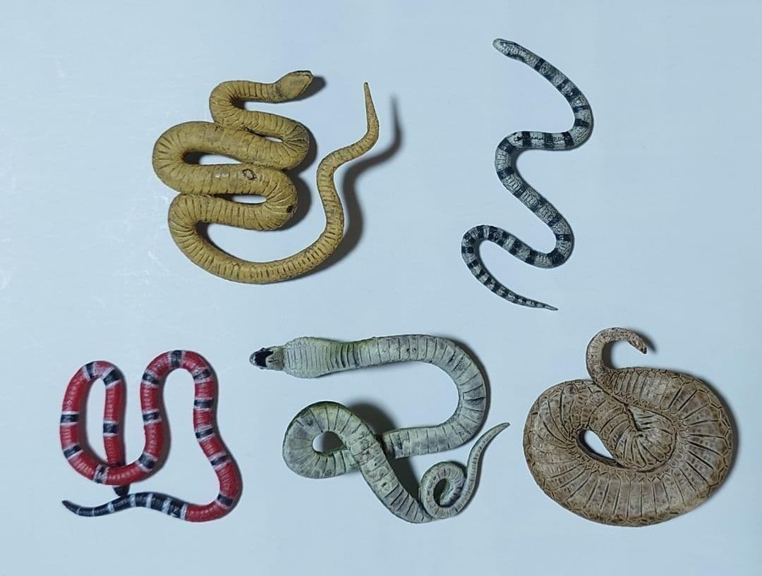 【希少】タカラトミーアーツ　不思議生物大百科　毒牙の暗殺者　7種　フルコンプ