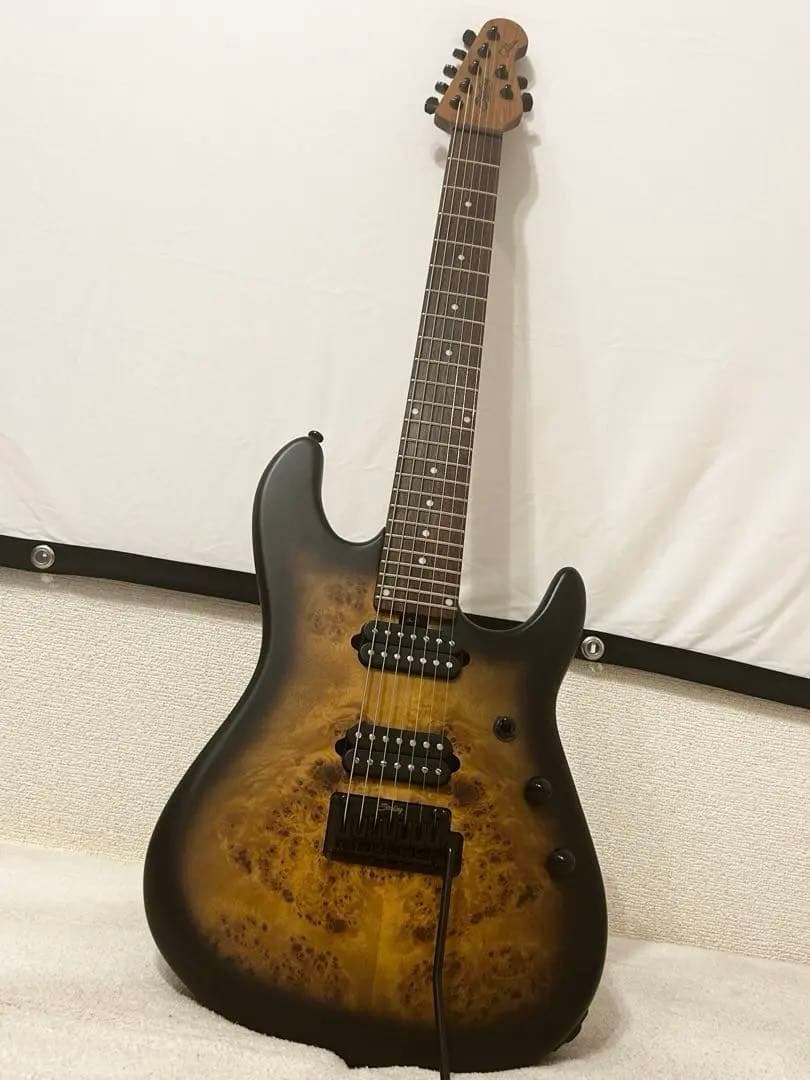 ギター Tsuyoshi Yamaguchi Richardson7