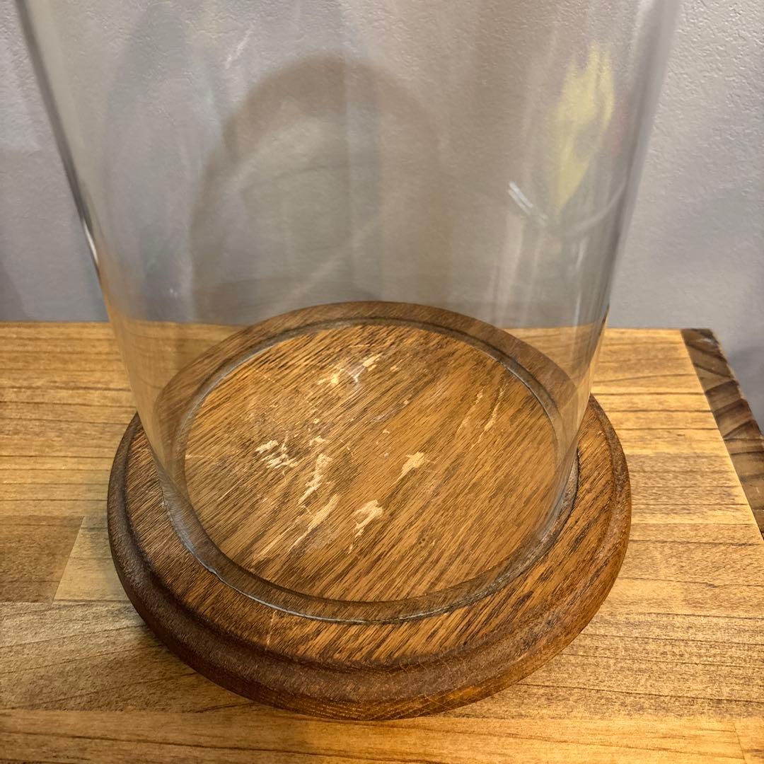 値下げ中！ヨーロッパヴィンテージ　ガラスドーム