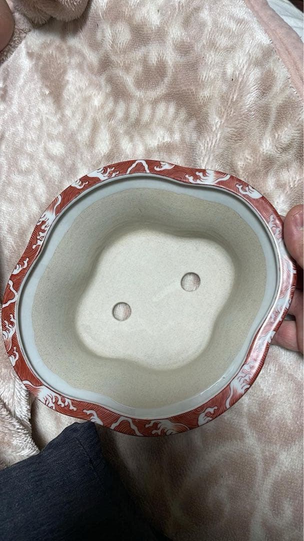 盆栽鉢　谷樂方山　盆栽