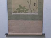 【真作】掛軸　尾竹国観　白牡丹図　気品あふれる花鳥画　繊細な筆致　T36