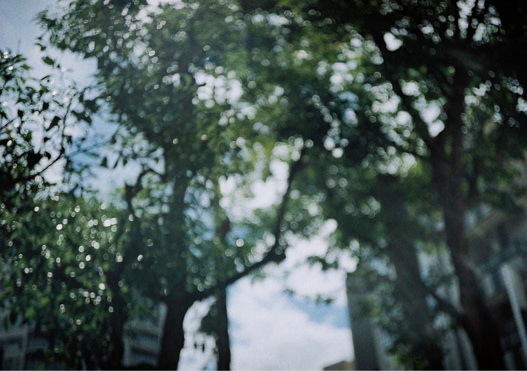 最終お値下OLYMPUS 35RC(rc) オリンパスフィルムカメラレトロカメラ