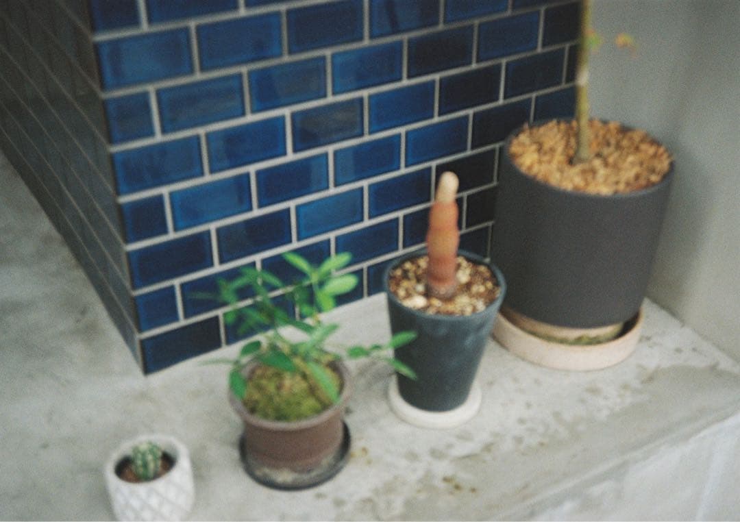 最終お値下OLYMPUS 35RC(rc) オリンパスフィルムカメラレトロカメラ