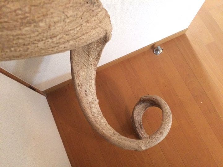 天然藤づる