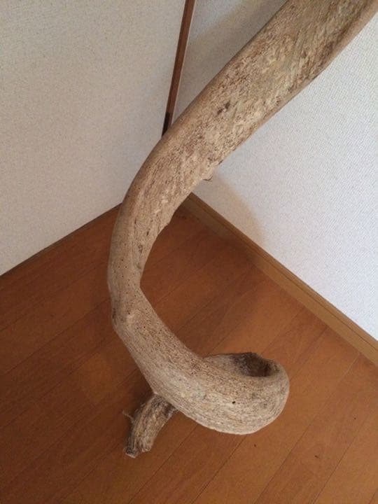 天然藤づる