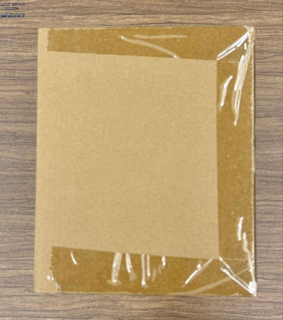 新品 ROBOT魂 ゲルググM指揮官機 シーマ・ガラハウ機 リリー・マルレーン