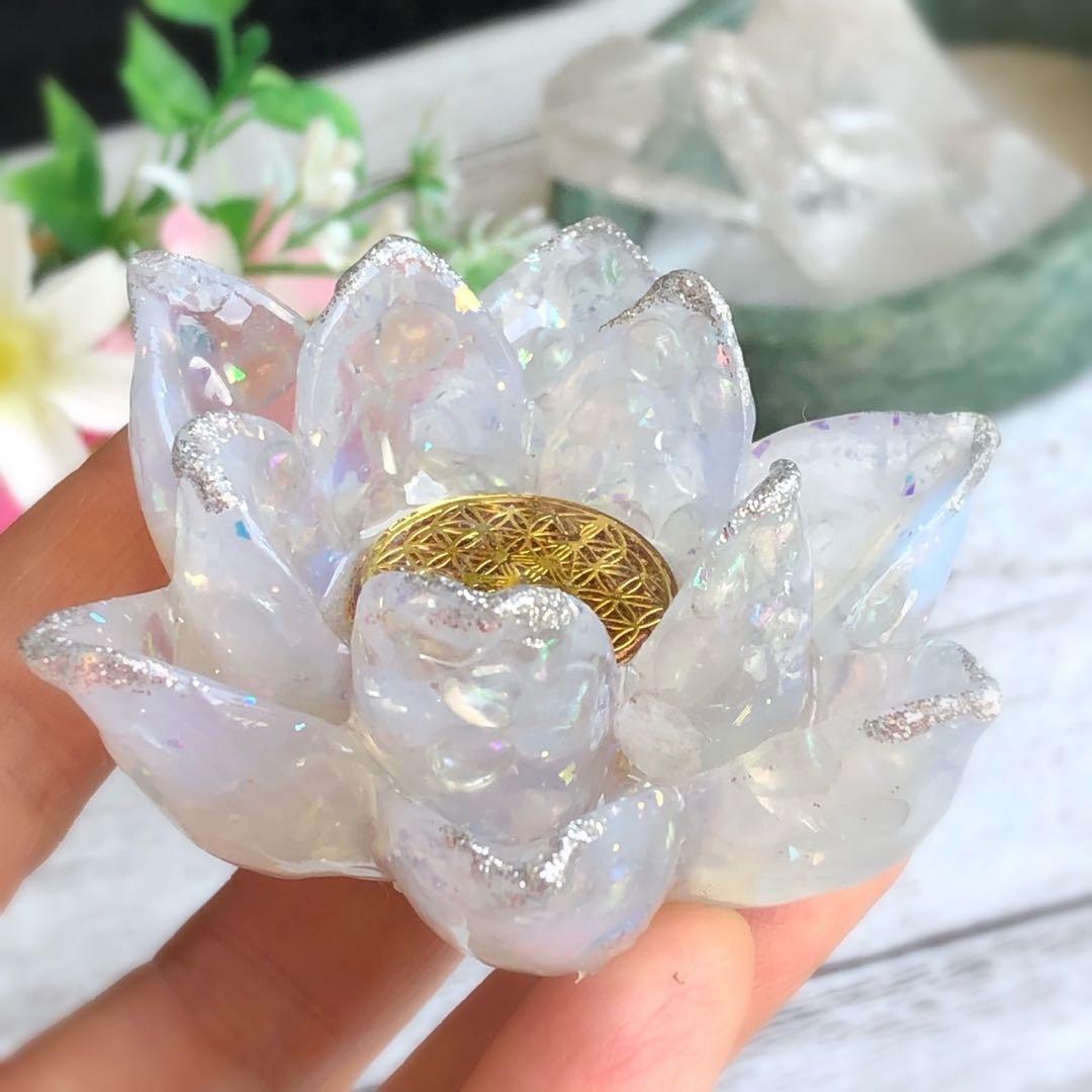 はくとん( 'ω')ŧ‹\"ŧ‹\"ページです♥️