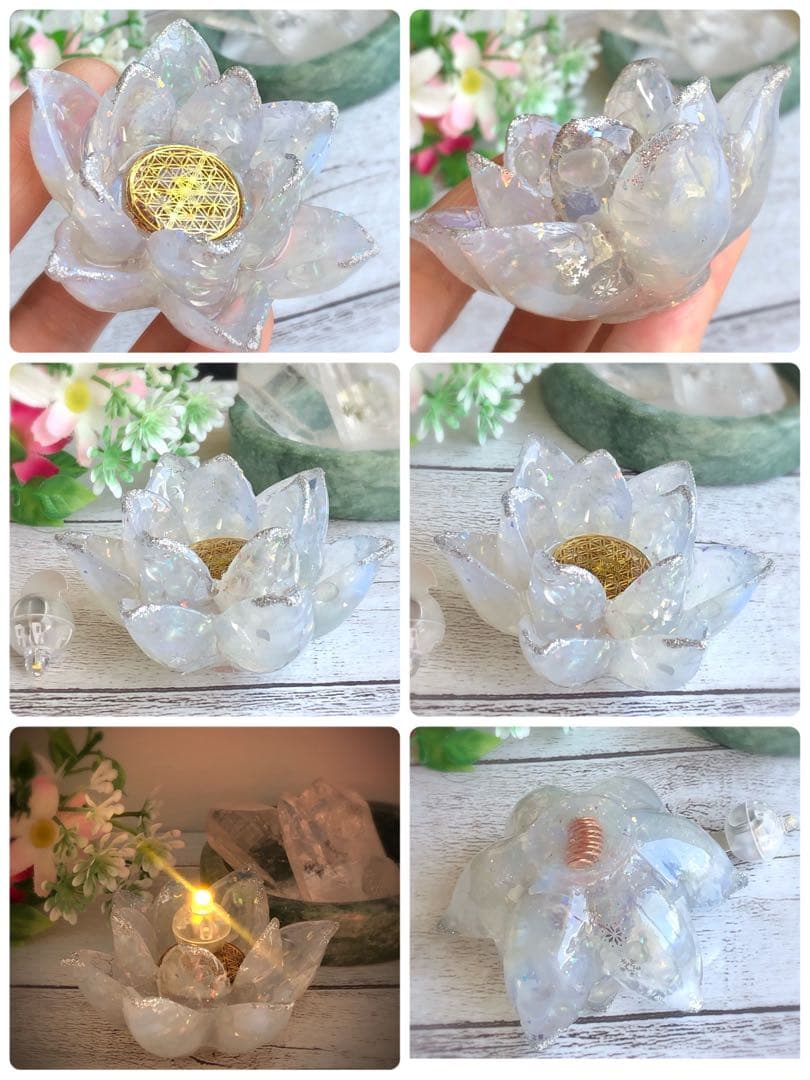 はくとん( 'ω')ŧ‹\"ŧ‹\"ページです♥️