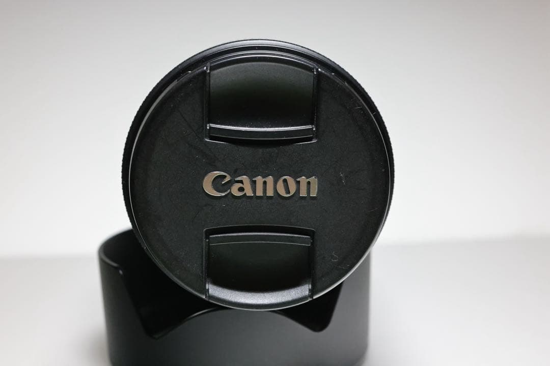 キヤノンRF24-105mm F4-7.1 IS STM EW-73D付き