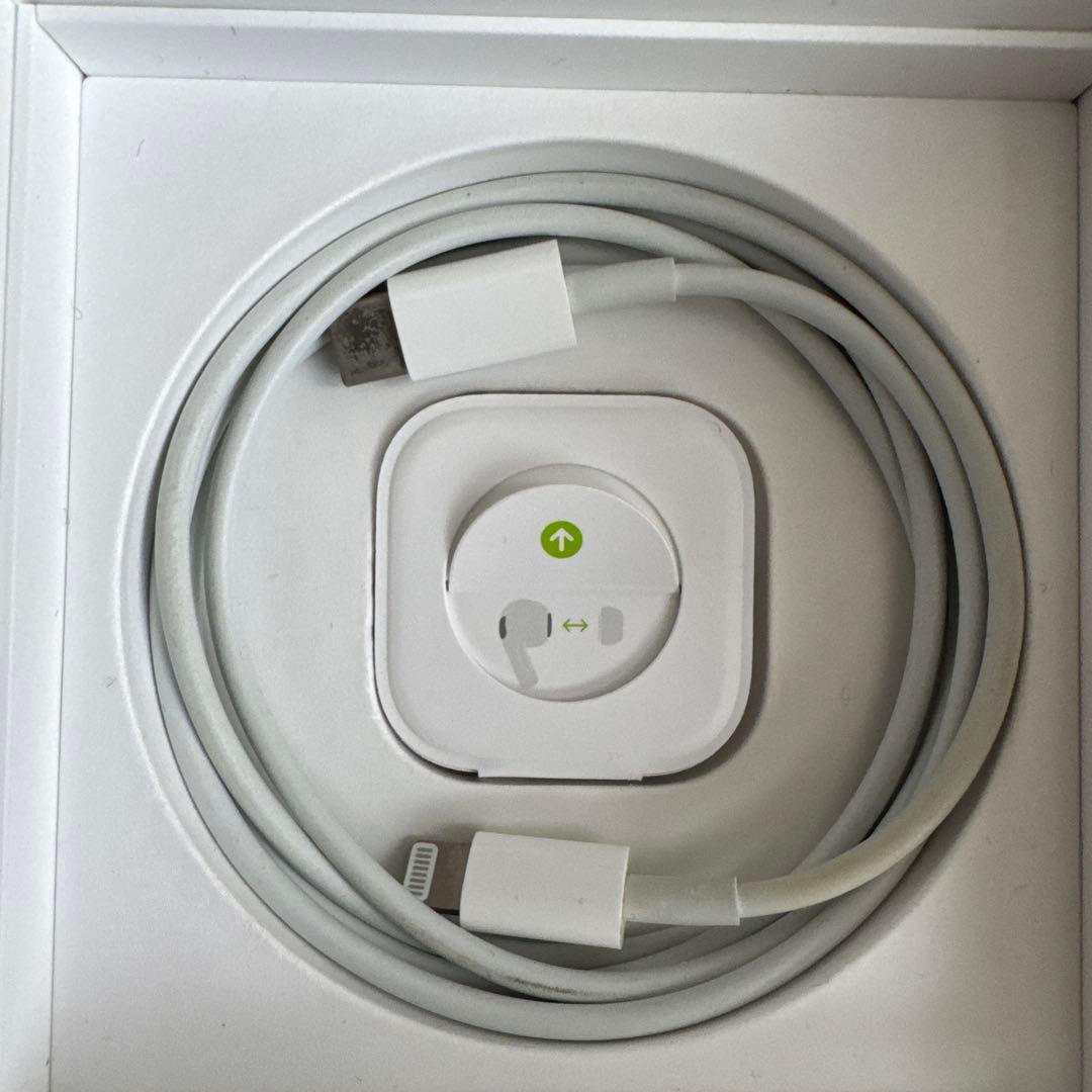 【正規品・本体交換済】Apple AirPods Pro（第1世代）動作良好品