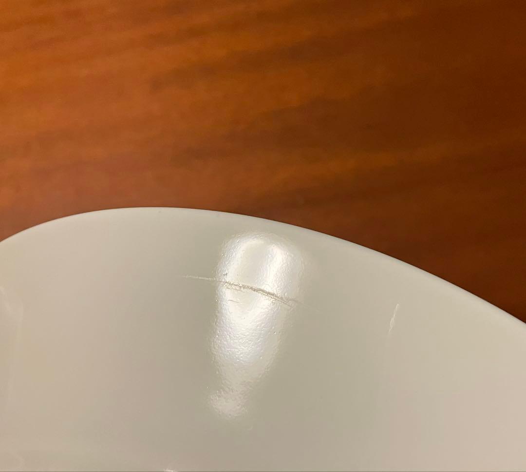 ARABIA Runo spring アラビア ルノ スプリング プレート 2