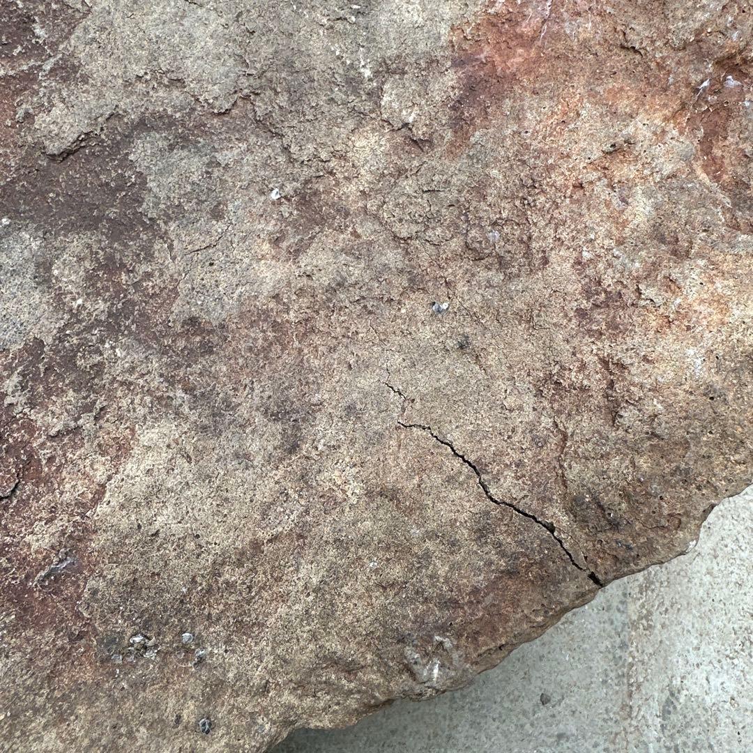 珍品 岩の殻 器状の石 68cm 天然石 鑑賞石 水石 水槽 オブジェ