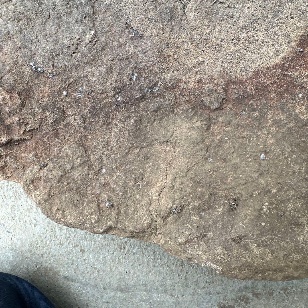 珍品 岩の殻 器状の石 68cm 天然石 鑑賞石 水石 水槽 オブジェ