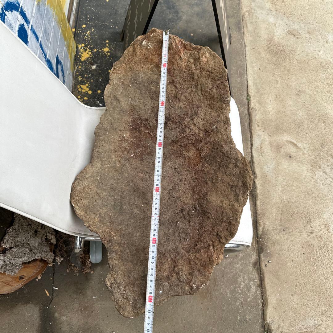 珍品 岩の殻 器状の石 68cm 天然石 鑑賞石 水石 水槽 オブジェ