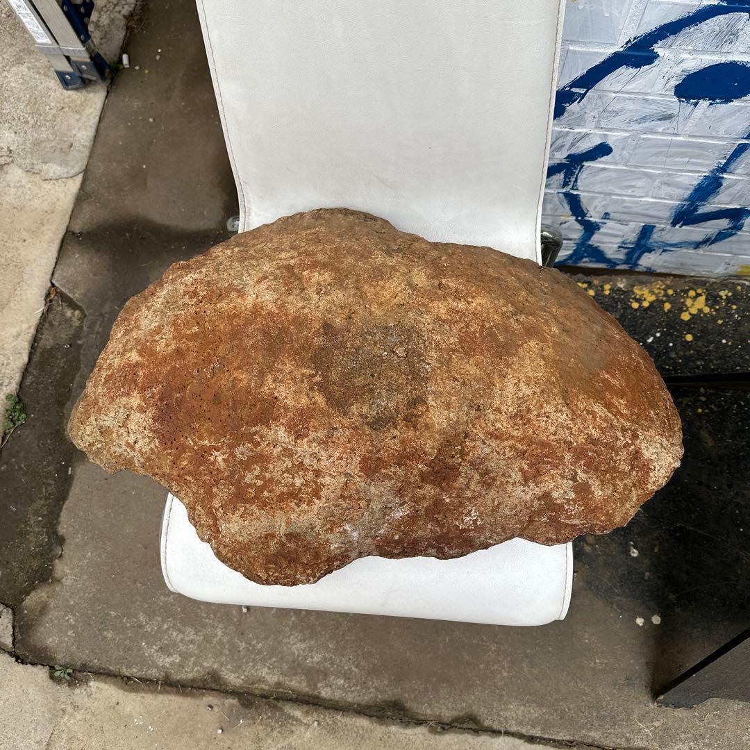珍品 岩の殻 器状の石 68cm 天然石 鑑賞石 水石 水槽 オブジェ