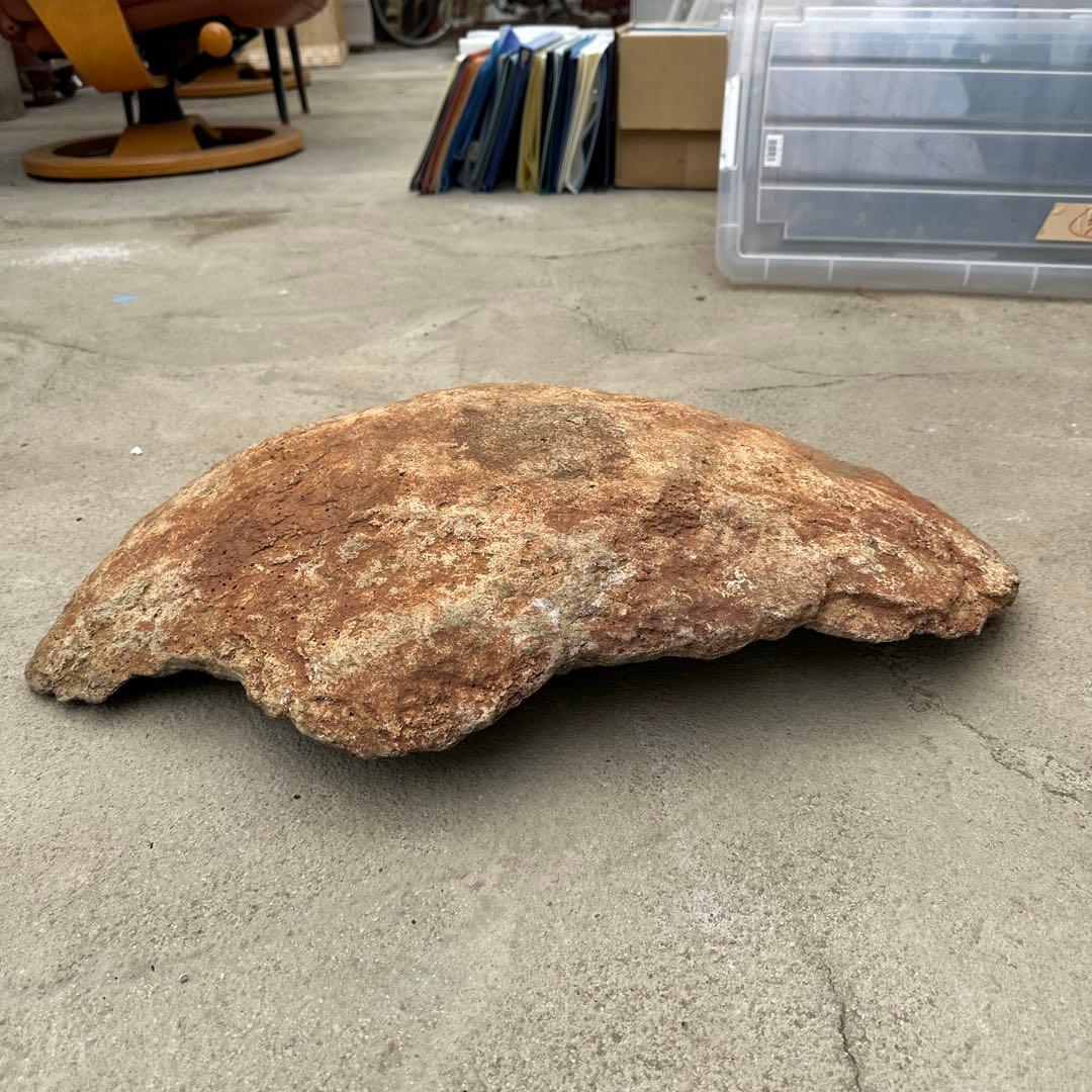 珍品 岩の殻 器状の石 68cm 天然石 鑑賞石 水石 水槽 オブジェ