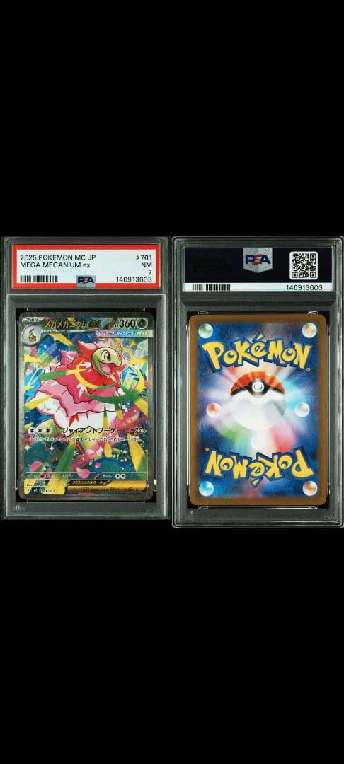 し*た様 メガメガニウム　PSA7