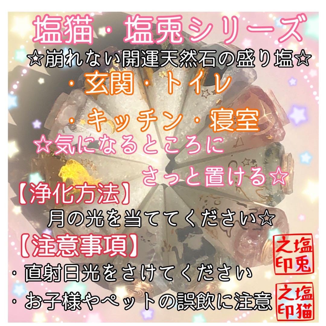 【2926】ぐで猫 盛り塩 オルゴナイト 厄除け 魔除け 開運 黒猫