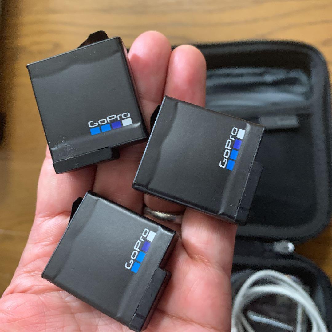 その他 Go pro