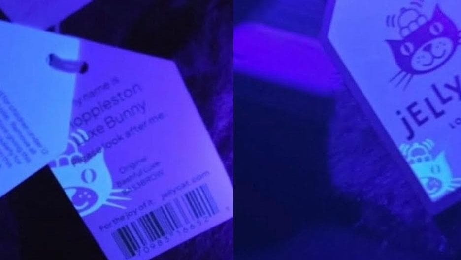  ニューヨークダイナー限定 NIBBLECHIPクッキーセット