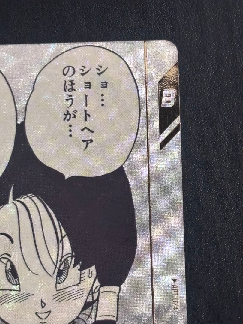 APT-024 ビーデル　パラレル