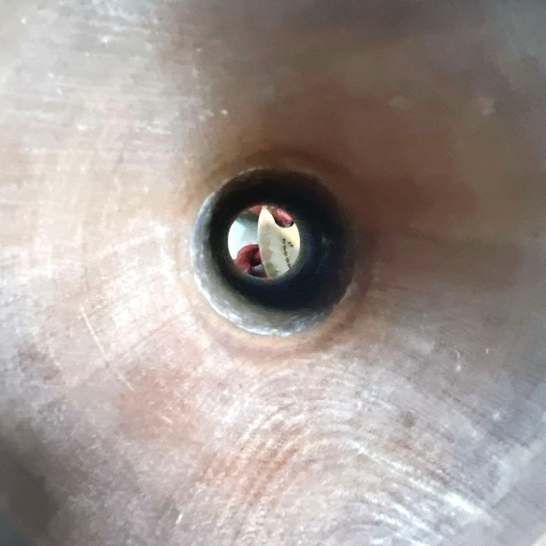 【希少】鼓　蒔絵　小鼓　胴　和楽器　伝統芸能　能 歌舞伎　金彩