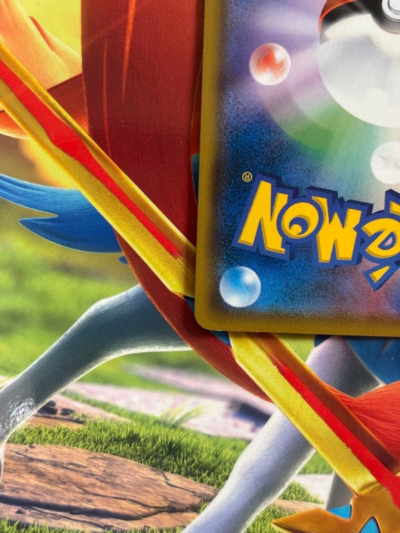 ポケモンカード モクロー ムンク展