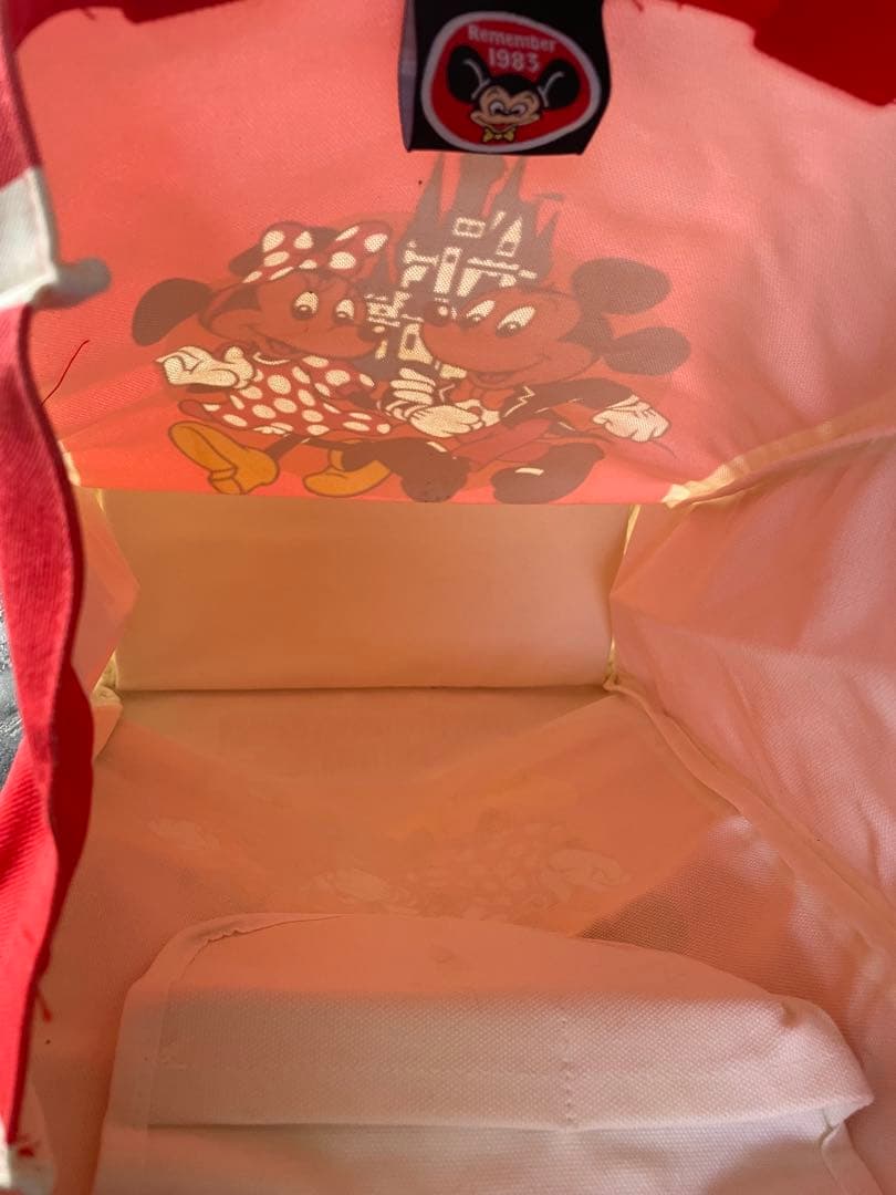 【価格相談承ります】新品タグ付き東京ディズニーランド ミッキー ミニー バッグ