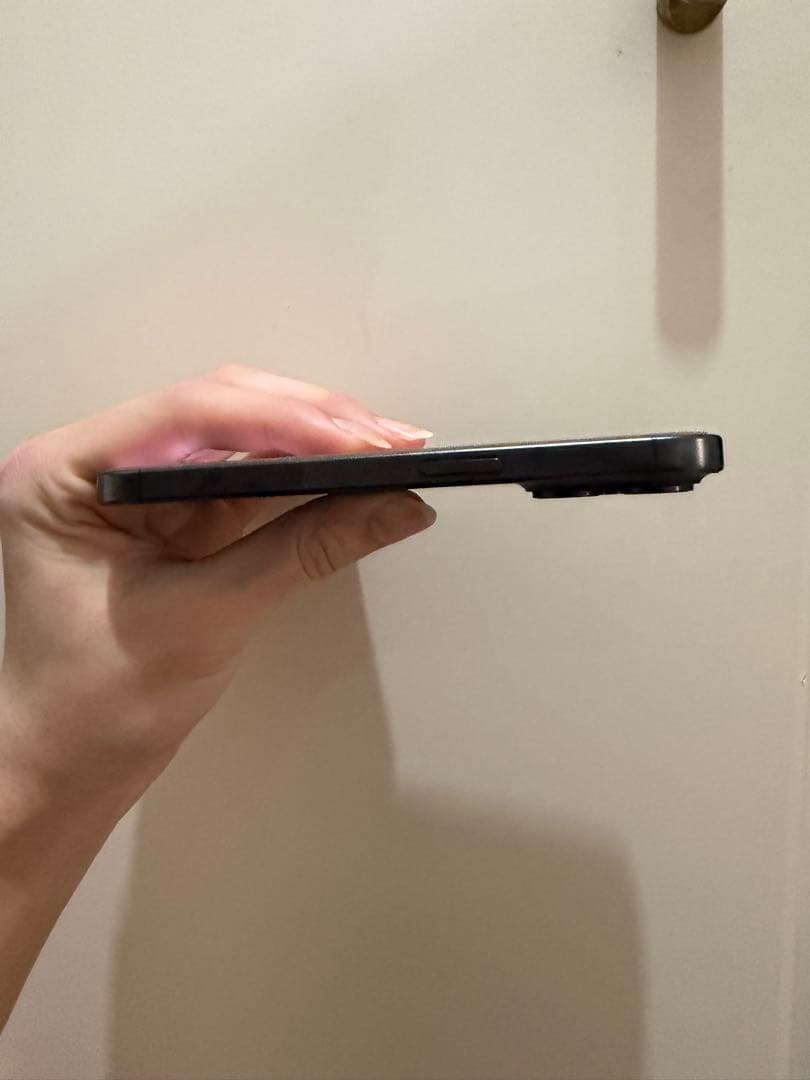 極美品　iPhone 15 pro 512GB 海外版　シャッター音なし