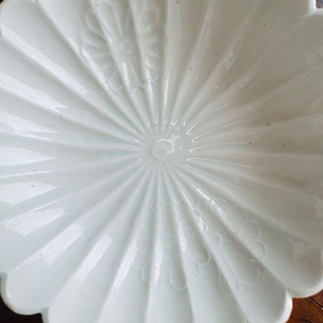 骨董 白磁 菊文 皿 一枚　陽刻 菊花文　古伊万里　時代皿