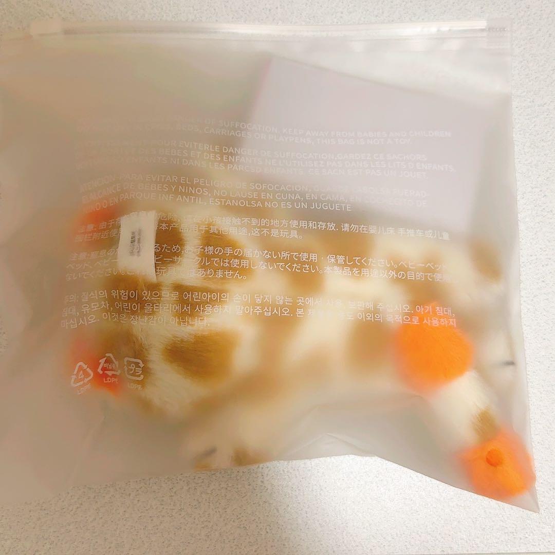【未開封】BOYNEXTDOOR プネクド ソンホ キーリング キャッピートレカ