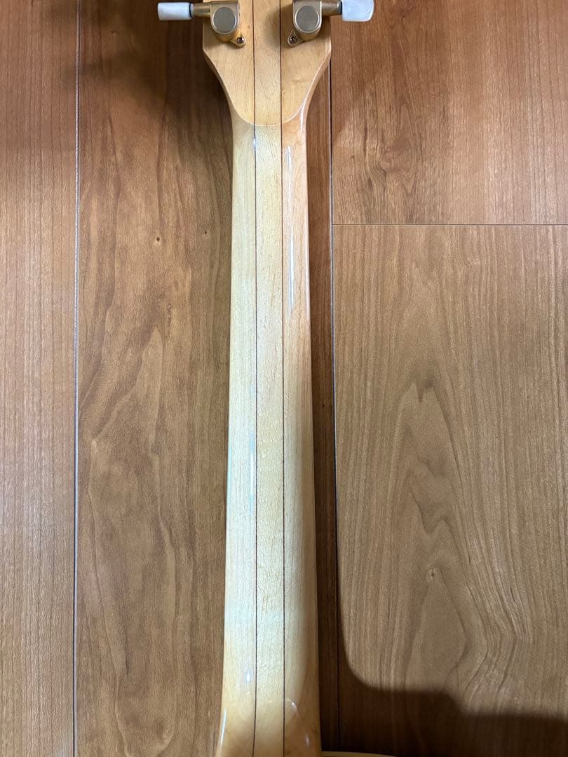 Ibanez フルアコAF105-NT