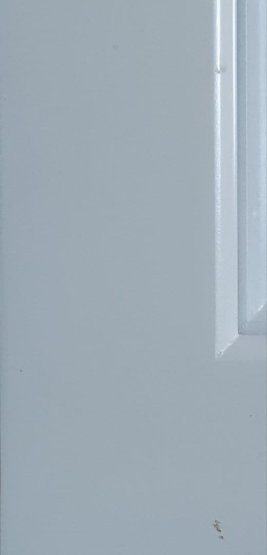 齋藤清「とうがらし」油彩