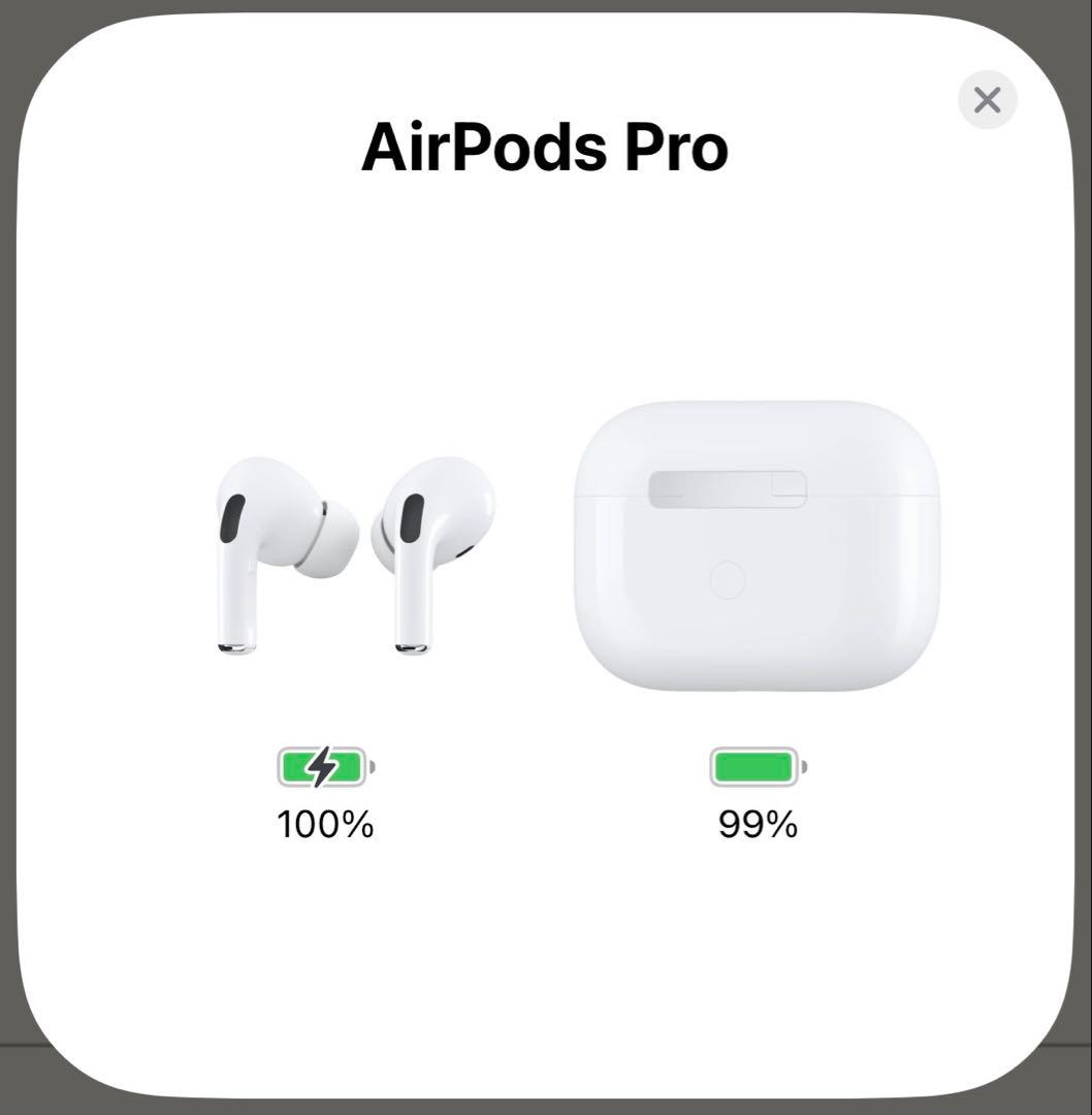 AirPodsPro 箱付き　UNIQケース付き