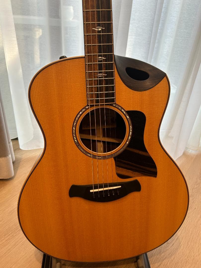 Taylor／Builder's Edition 816ce V-Class