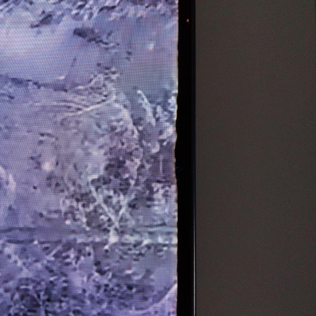 ボブ【たのめる便で発送】FUNAI 有機ELテレビ65インチ