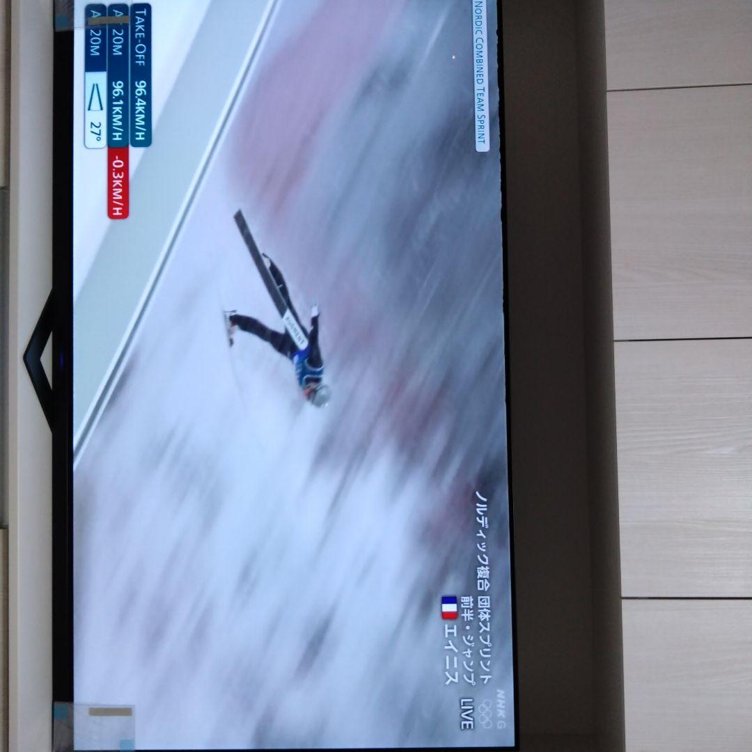 ボブ【たのめる便で発送】FUNAI 有機ELテレビ65インチ